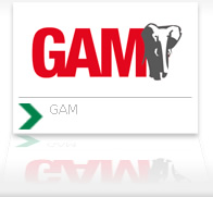 GAM